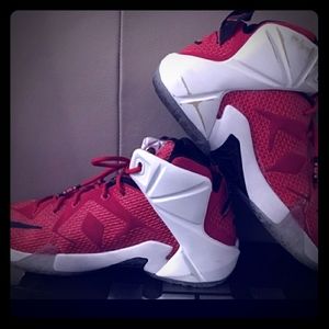 Nike Lionheart 12 Lebron James Shoes